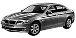 BMW F10 U0869 Fault Code